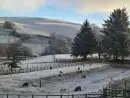 Cefn-nant Lodge - thumbnail photo 18